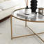 Dorfman Frame Coffee Table-1590349003