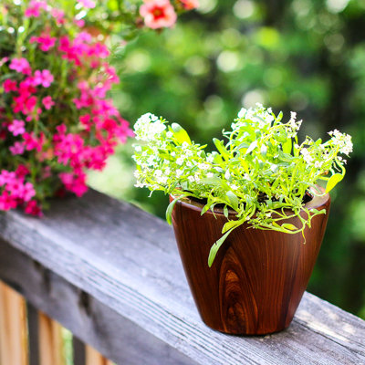 2 10 po Pots à fleurs auto-arrosants - style bois foncé, construction légère, avec bouchon de drainage et capteur de niveau d'eau, pour toute saison, jauge de rangement facile à installer