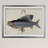 " Vintage Fish Study I "-87022820-87022823