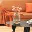 Vase de table en verre Narron-474817611