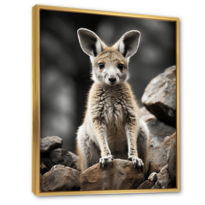 " Kangaroo Bound "