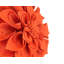 Coussin décoratif Floral-88582406-88582407
