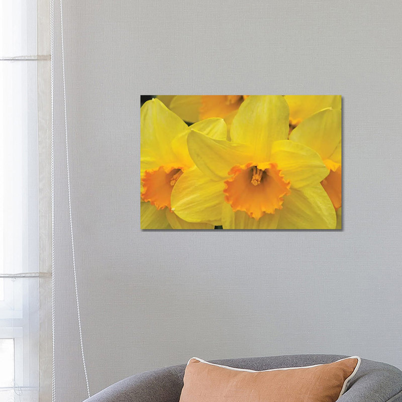 Daffodils 1 Piece Wrapped Canvas Wall Art