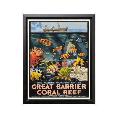 The Marine Wonders of the Great Barrier Coral Reef