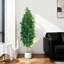 150cm Plant-1447866082