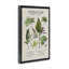 Cadre flottant Herbarium Woodland Shade, conçu par House Fenway-507383435-507383432