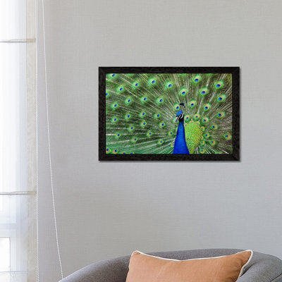 Peacock Feathers 1 Piece Floater Frame Wall Art on Canvas