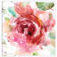 " Bold Blush III " by Carol Robinson-19746810-74755417-74755418