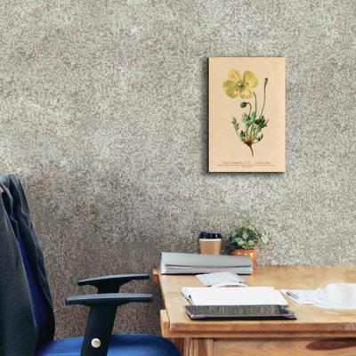 «Epaver Graffiti», Papaver pyrenaum, par Art Licensing Studio, art mural sur toile