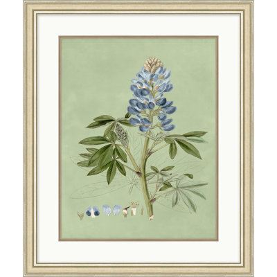 Sage and Blue Botanical 1