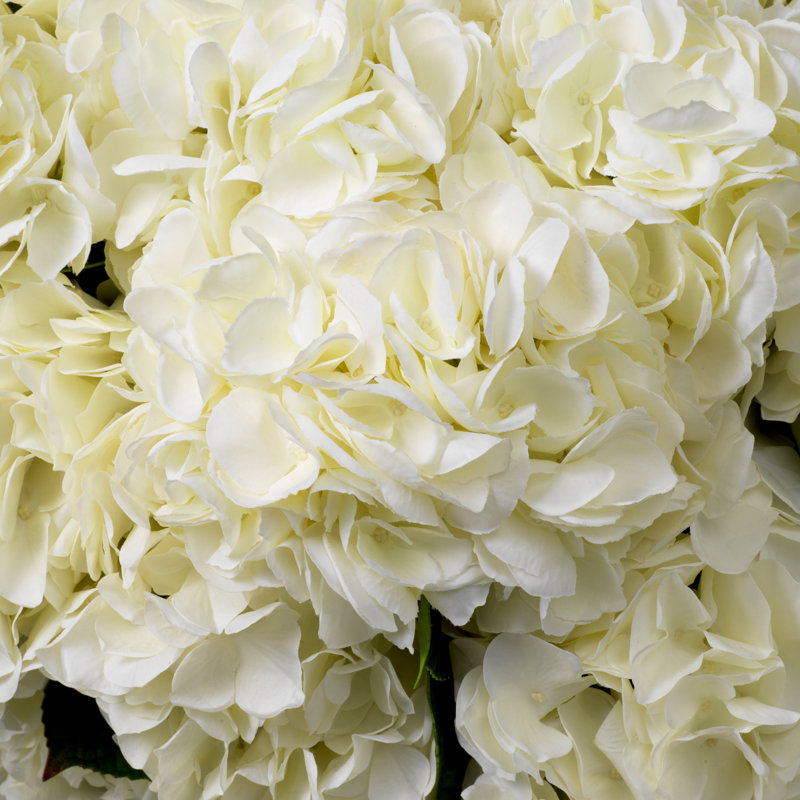 Bouquet Of Hydrangeas White Tones Real Touch 48 Pcs/2 Varieties, White