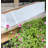 Imogen Wood Planter Box