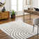 Whitlatch Charcoal Shag Area Rug