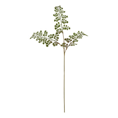 Arrangement