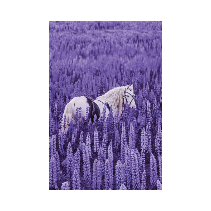 «Unicorn Meeting» par Hobopeeba - reproduction de photo, Toile tendue, Pas de tapis, H 48 po x l 32 po x P 1,5 po