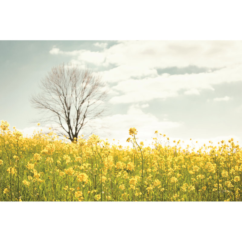 «Yellow Meadow» par Aledanda, peinture, H 12 po x l 18 po, Toile tendue