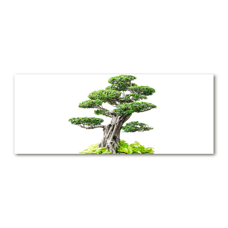 Bonsai Tree - Wrapped Canvas Print