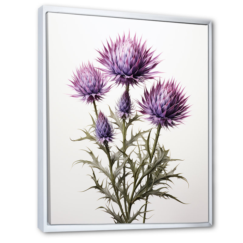 Rustique mauve et Whitethistle - chardon, art mural, Cadre flottant blanc, H 20 po x l 12 po x P 1 po