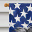 Polyester à 2 côtés 28 x 40 po drapeau maison-1879433859