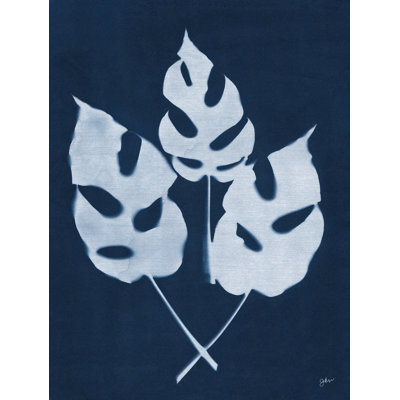Indigo Monstera by Julie Norkus