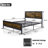 Marla Rivet Metal Frame Platform Bed with Industrial-Inspired Style Headboard -579247695-631690026