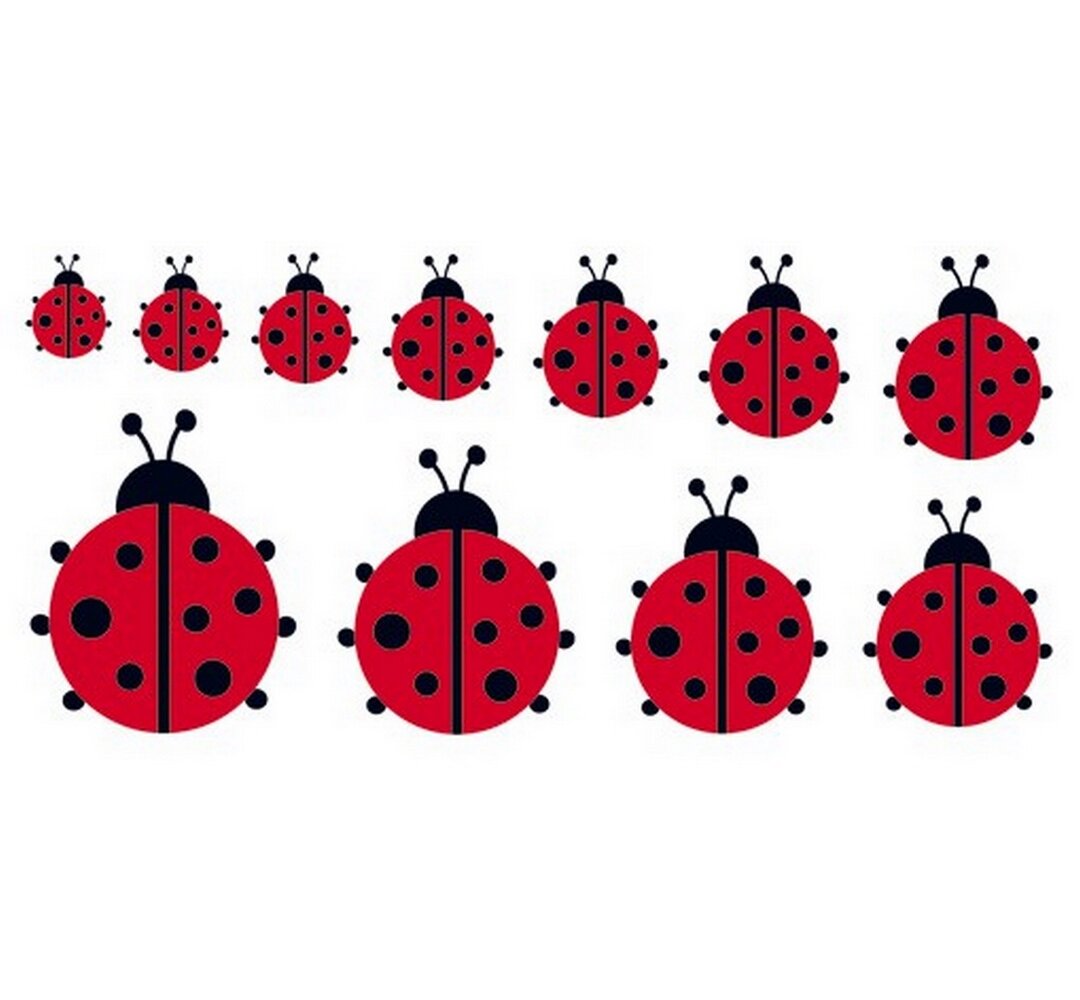 Wandtattoo Familie Ladybird II