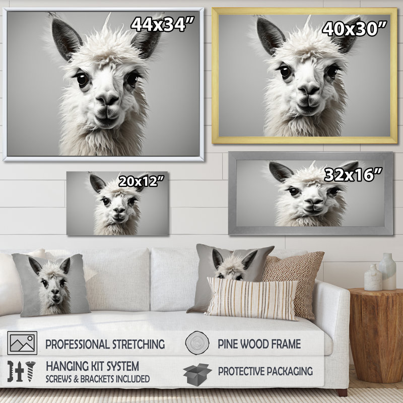 " Grey Llama Gentle Llama ", 12" H x 20" W, Toile tendue