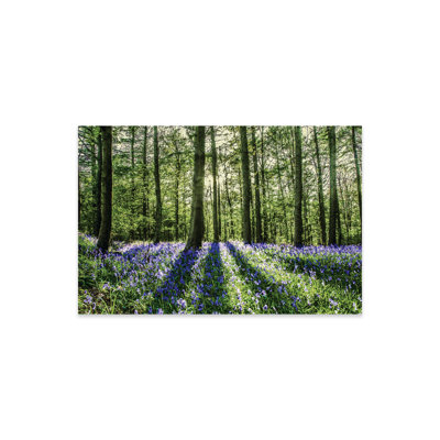 «Bluebell Wood», reproduction