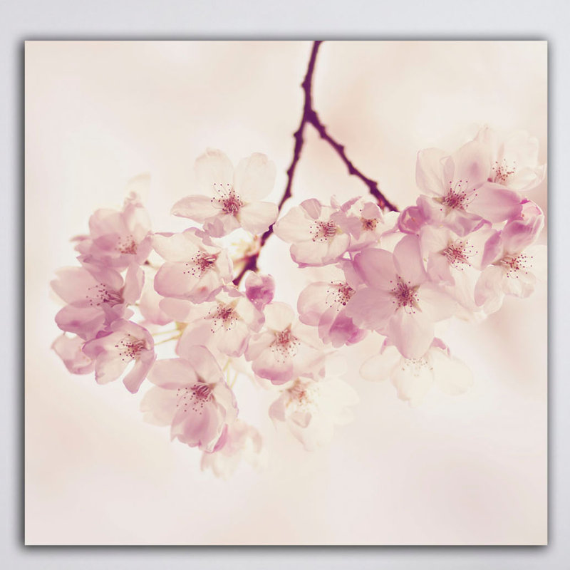Wrapped Canvas Print, 81cm H x 81cm W x 3.8cm D