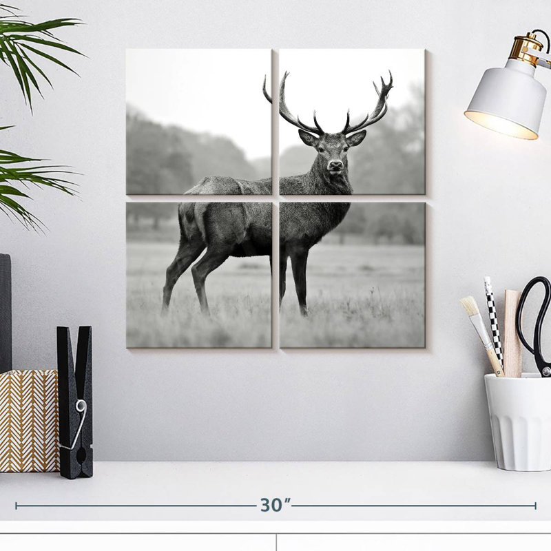 Proud Deer BW, 18" H x 18" W