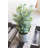 Artificial Boxwood in a Cement Pot 18" H Decorative Faux Green Plant