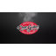 Smokin Pro Deluxe Grill Vinyl Cover