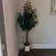Customer photo 2 of 2