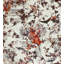 Les Papiers Floral Wallpaper Double Roll-74864299