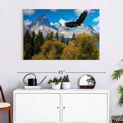 Grand Teton Eagle