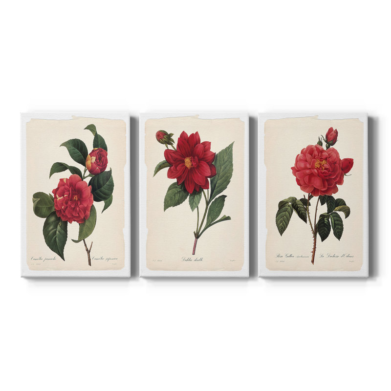 Red Botanical I - Toile tendue avec châssis sur mesure - 3 pièces, H 27 po x l 54 po