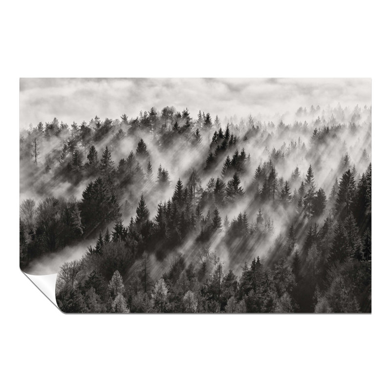 Light Rays In Coniferous Forest - No Frame Print on Glass, 20 cm H x 31 cm W x 0.5cm D, Paper