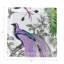 Audubon Exotica Cotton Sateen Cocktail Napkins-1754039005