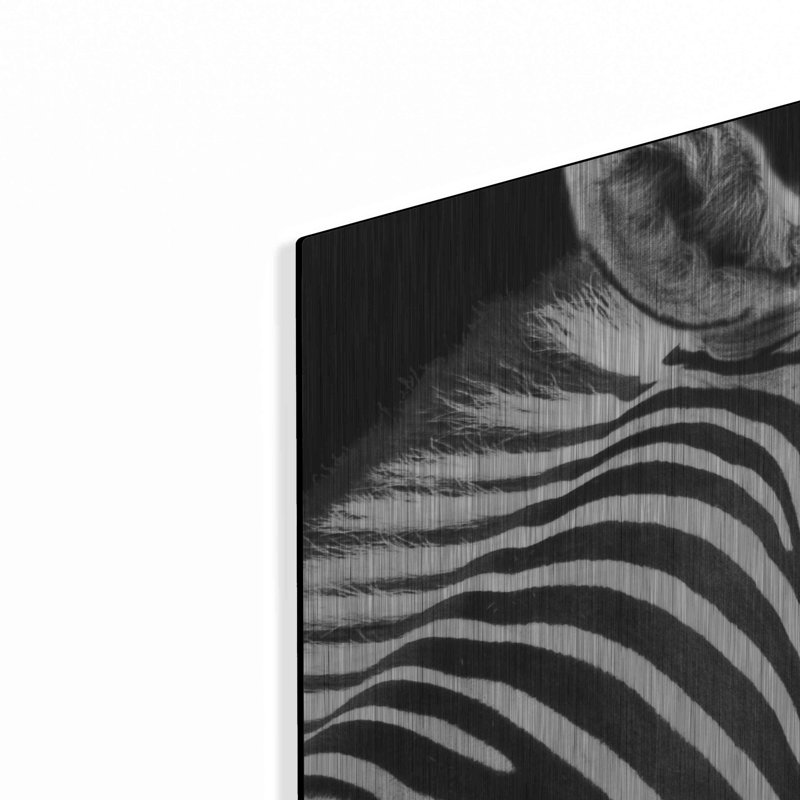 «Zebra VIII» par Debra Van Swearinge