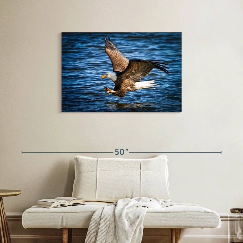 Bald Eagle Fishing