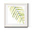 Verdant impressions III-reproduction d’art-854831344-854706448