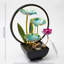 Fontaine de bureau lotus vert avec halo