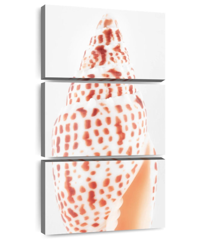 Coque à onglets I, H 32 po x l 15 po