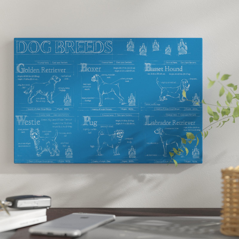 «Dog Breeds Infograph», reproduction d'impression sur toile tendue, H 18 po x l 26 po x P 1,5 po, Toile tendue, Pas de tapis