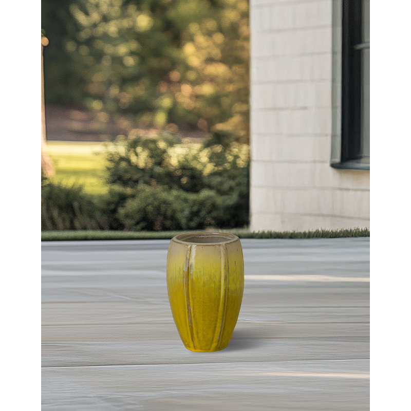 CREST PLANT, NEIGE, Jaune, H 10,5 po x l 7 po x P 7 po
