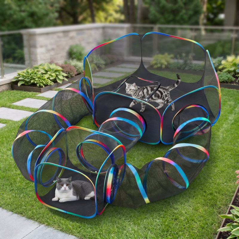 Enceinte portative 5-en-1 pour chat, comprenant tente, cube, Catio pliable, aire de jeu escamotable, avec tunnels, pour chats d'intérieur et petits animaux