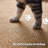 Low-Profile Non-Slip Indoor Area Rug, Washable & Stain Resistant-170478315-170478312