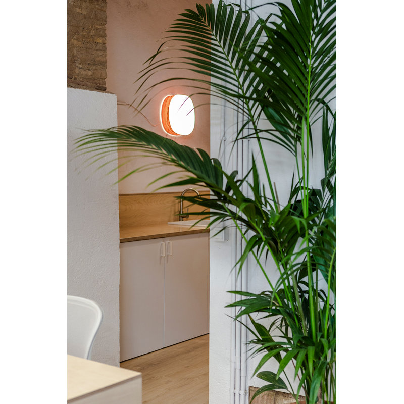 Guijarro 1 - Light Flush Mounted Sconce, Natural Cherry, GX53 Base
