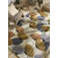 Floral Area Rug in Beige/Yellow/Gray-70210848