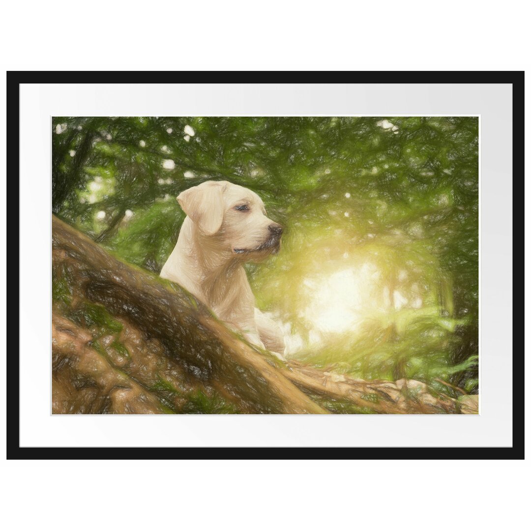 Gerahmtes Poster Labrador Welpe im Wald